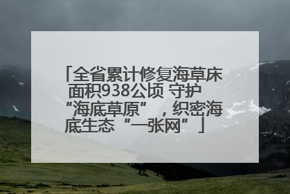 全省累计修复海草床面积938公顷 守护“海底草原”，织密海底生态“一张网”